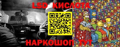 прущие грибы Среднеуральск